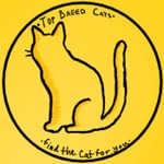 Logo of the podcast Top Breed cats Podcast Top Breed cats