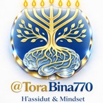 Logo of the podcast ToraBina : Torah & 'Hassidout Podcast ToraBina : Torah & 'Hassidout