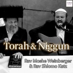 Logo of the podcast Torah and Niggun with Rav Moshe Weinberger and Rav Shlomo Katz Podcast Torah and Niggun with Rav Moshe Weinberger and Rav Shlomo Katz
