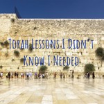 Logo of the podcast Torah Lessons I Didn't Know I Needed Podcast Torah Lessons I Didn't Know I Needed