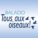 Logo of the podcast Tous aux oiseaux! Podcast Tous aux oiseaux!