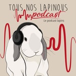 Logo of the podcast Tous Nos Lapinous Podcast Tous Nos Lapinous