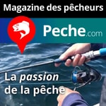 Logo of the podcast Tout Peche.com Podcast Tout Peche.com