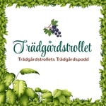 Logo of the podcast Trädgårdstrollets Trädgårdspodd Podcast Trädgårdstrollets Trädgårdspodd