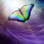Logo of the podcast Transpersonal Journey with Irene Siegel Podcast Transpersonal Journey with Irene Siegel