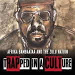 Logo of the podcast Trapped In A Culture - Leila Wills Podcast Trapped In A Culture - Leila Wills