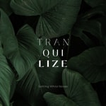 Logo of the podcast Traquilize - Sothing White Noises Podcast Traquilize - Sothing White Noises