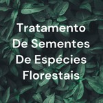 Logo of the podcast Tratamento De Sementes De Espécies Florestais Podcast Tratamento De Sementes De Espécies Florestais