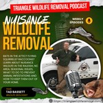 Logo of the podcast Triangle Wildlife Removal Podcast Podcast Triangle Wildlife Removal Podcast