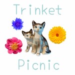 Logo of the podcast Trinket Picnic Podcast Podcast Trinket Picnic Podcast