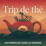 Trip de thé - Histoire(s) de Camellia Sinensis