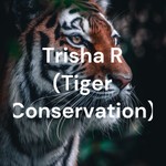 Logo of the podcast Trisha R (Tiger Conservation) Podcast Trisha R (Tiger Conservation)