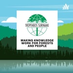 Logo of the podcast TropenBos Suriname The Podcast Podcast TropenBos Suriname The Podcast