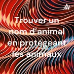 Logo of the podcast Trouver un nom d'animal en protégeant les animaux Podcast Trouver un nom d'animal en protégeant les animaux