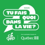 Logo of the podcast Tu fais quoi dans la vie?