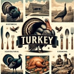 Logo of the podcast Turkey Podcast Turkey