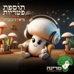 Logo of the podcast תוספת פטריות Podcast תוספת פטריות