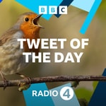 Podcast Tweet of the Day