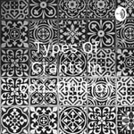 Logo of the podcast Types Of Grants In constitution Podcast Types Of Grants In constitution