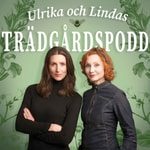 Logo of the podcast Ulrika och Lindas trädgårdspodd Podcast Ulrika och Lindas trädgårdspodd