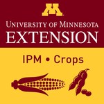 Logo of the podcast UMN Extension Field Crop IPM Podcasts Podcast UMN Extension Field Crop IPM Podcasts