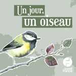 Logo of the podcast Un jour, un oiseau Podcast Un jour, un oiseau