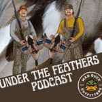 Logo of the podcast Under the Feathers Podcast Under the Feathers