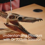 Logo of the podcast Understanding Pliosaurs with Dr Judyth Sassoon Podcast Understanding Pliosaurs with Dr Judyth Sassoon