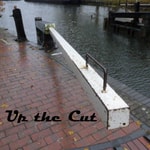 Logo of the podcast Up the Cut Missing podcast logo