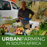Podcast Urban Farming in South Africa