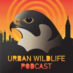 Logo of the podcast Urban Wildlife Podcast Podcast Urban Wildlife Podcast