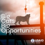 Logo of the podcast USAID's BIG CATS BIG OPPORTUNITIES Podcast USAID's BIG CATS BIG OPPORTUNITIES