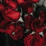 Podcast Valentine's day SFI EMC