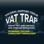 Logo of the podcast VAT Trap Podcast VAT Trap
