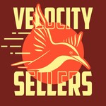 Velocity Sellers Podcast Podcast Velocity Sellers Podcast