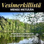 Logo of the podcast Vesimerkillistä Podcast Vesimerkillistä