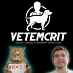 Logo of the podcast VetEmCrit: The Veterinary Emergency & Critical Care Podcast Podcast VetEmCrit: The Veterinary Emergency & Critical Care Podcast