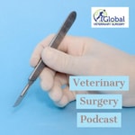 Podcast Veterinary Surgery Podcast