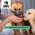 Logo of the podcast VETO - Der Tierschutz-Podcast Podcast VETO - Der Tierschutz-Podcast