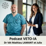 Logo of the podcast VETO-IA Podcast VETO-IA