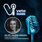 Logo of the podcast Véto Inside Podcast Véto Inside