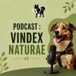 Logo of the podcast Vindex Naturae : Le Podcast 100% Animaux ! Podcast Vindex Naturae : Le Podcast 100% Animaux !
