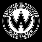 Logo of the podcast Vision 2030: Der SVW-Podcast Podcast Vision 2030: Der SVW-Podcast