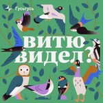 Витю видел? Podcast Витю видел?