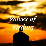 Logo of the podcast Voices of Birding History Podcast Voices of Birding History