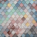 Logo of the podcast Volleyball Positions Podcast Volleyball Positions