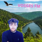 Logo of the podcast Vosges FM Podcast Vosges FM