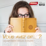 Podcast Vous Avez Dit... ?