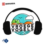 Podcast Vroege Vogels in 30 minuten