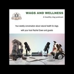 Logo of the podcast Wags & Wellness - A Healthy Dog Podcast with Boil and Broth Podcast Wags & Wellness - A Healthy Dog Podcast with Boil and Broth